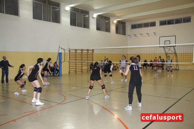 101120_Pomar 118y_tn.jpg